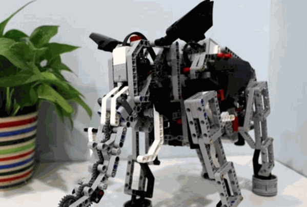 画贝机器人教育